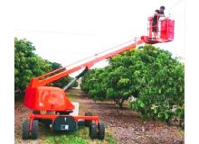 果園采摘車 閱讀次數：918